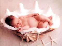 bebe coquillage